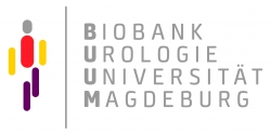 BUUM-Logo.jpg